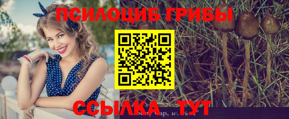 Галлюциногенные грибы прущие грибы Ахтубинск