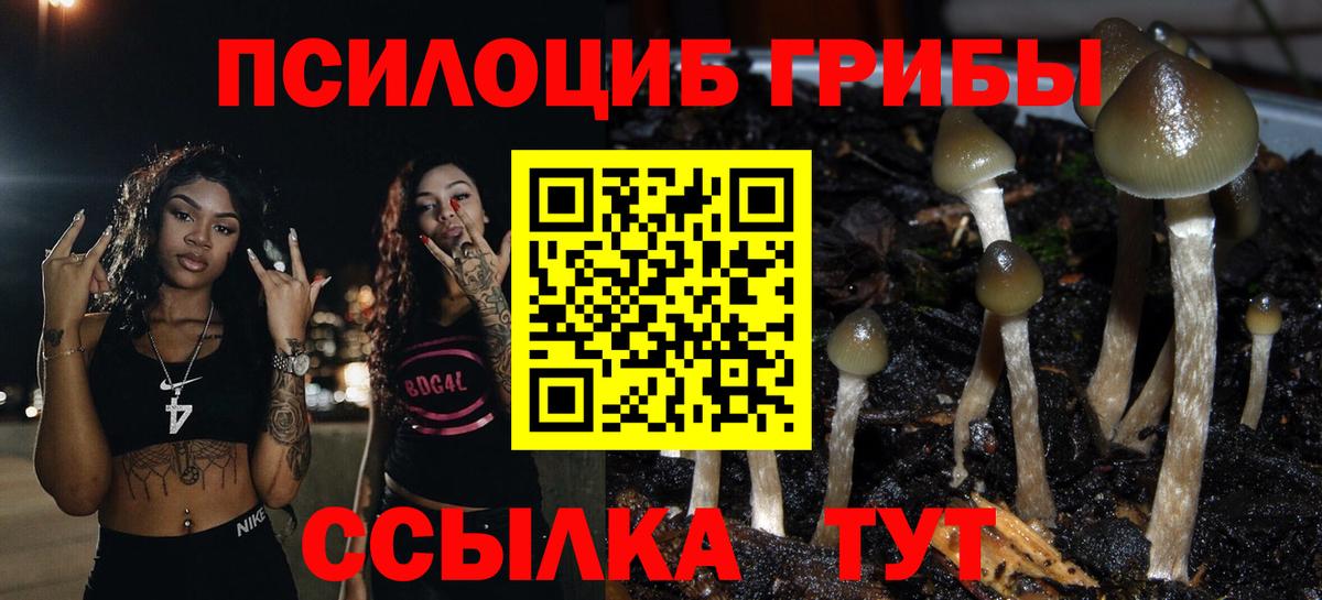 Галлюциногенные грибы прущие грибы  Псилоцибиновые грибы GOLDEN TEACHER  Ахтубинск  где найти   Вход с VPN 